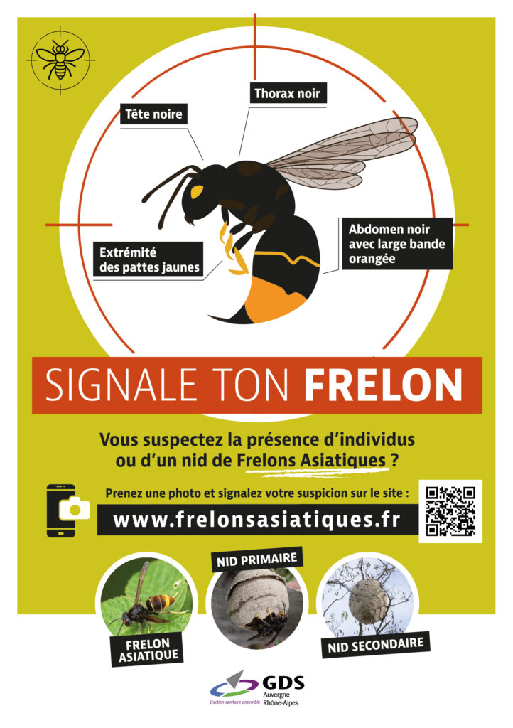 Flyers 148x210mm www.frelonsasiatiques.fr_2023-01